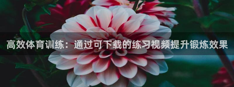 中欧体育集团：高效体育训练：通过可下载的练习视频提升锻炼效果