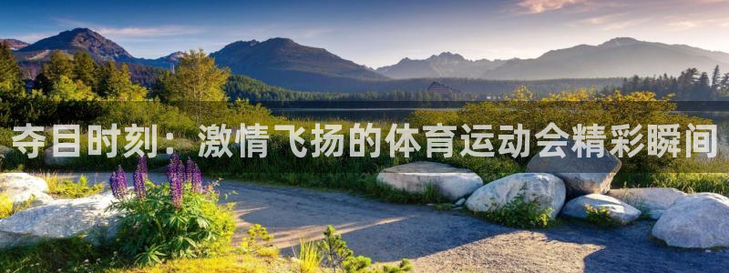中欧体育(zoty)官网：夺目时刻：激情飞扬的体育运动会精彩瞬间