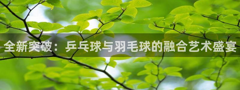 全新突破：乒乓球与羽毛球的融合艺术盛宴